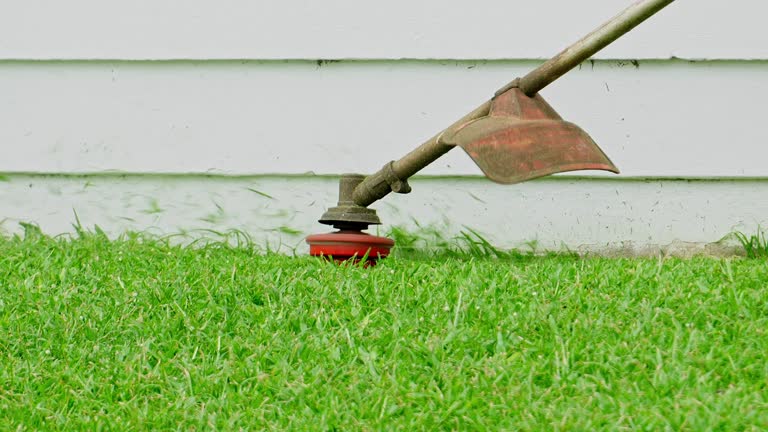 Best Pest Control for Lawns  in Ebensburg, PA